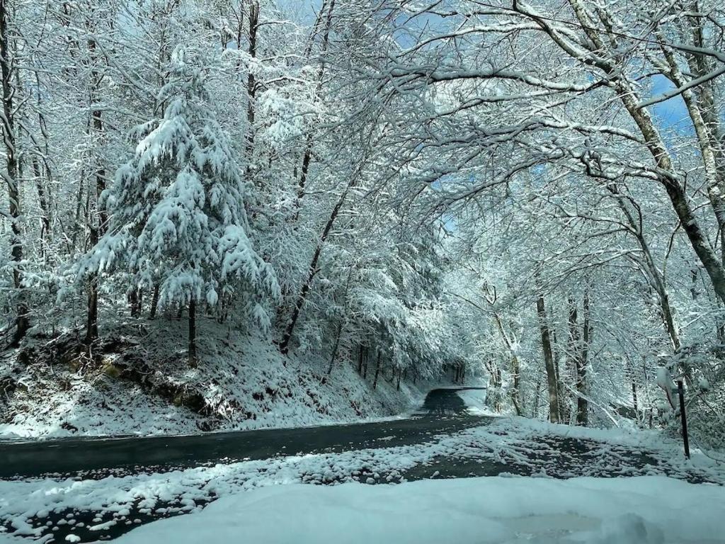 Cabin With Treehouse Views, 3 King Beds, 4 Bunks, And Large Hot Tub! Gatlinburg Kültér fotó